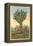 Watermelon Tree, Freak Saguaro Cactus-null-Framed Stretched Canvas