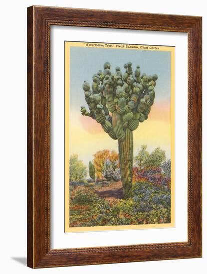 Watermelon Tree, Freak Saguaro Cactus-null-Framed Premium Giclee Print