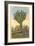 Watermelon Tree, Freak Saguaro Cactus-null-Framed Art Print