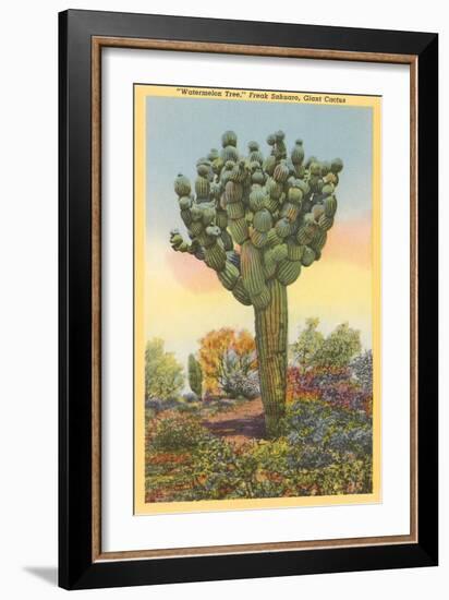 Watermelon Tree, Freak Saguaro Cactus-null-Framed Art Print