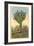 Watermelon Tree, Freak Saguaro Cactus-null-Framed Art Print