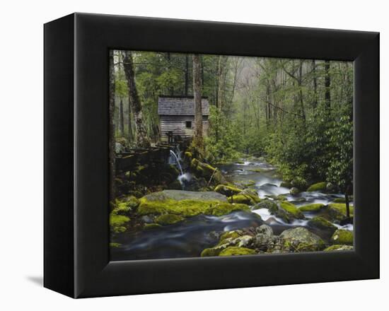Watermill By Stream in Forest, Roaring Fork, Great Smoky Mountains National Park, Tennessee, USA-Adam Jones-Framed Premier Image Canvas