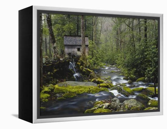 Watermill By Stream in Forest, Roaring Fork, Great Smoky Mountains National Park, Tennessee, USA-Adam Jones-Framed Premier Image Canvas