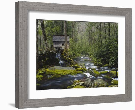 Watermill By Stream in Forest, Roaring Fork, Great Smoky Mountains National Park, Tennessee, USA-Adam Jones-Framed Photographic Print