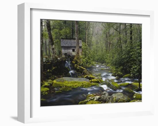 Watermill By Stream in Forest, Roaring Fork, Great Smoky Mountains National Park, Tennessee, USA-Adam Jones-Framed Photographic Print