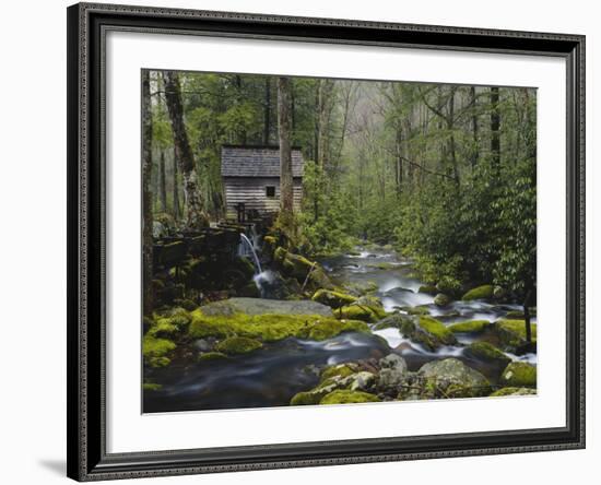 Watermill By Stream in Forest, Roaring Fork, Great Smoky Mountains National Park, Tennessee, USA-Adam Jones-Framed Photographic Print