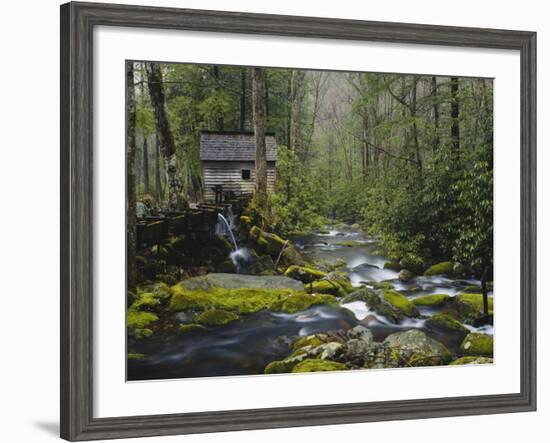 Watermill By Stream in Forest, Roaring Fork, Great Smoky Mountains National Park, Tennessee, USA-Adam Jones-Framed Photographic Print