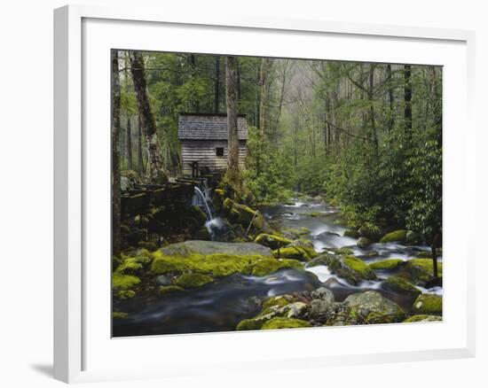 Watermill By Stream in Forest, Roaring Fork, Great Smoky Mountains National Park, Tennessee, USA-Adam Jones-Framed Photographic Print