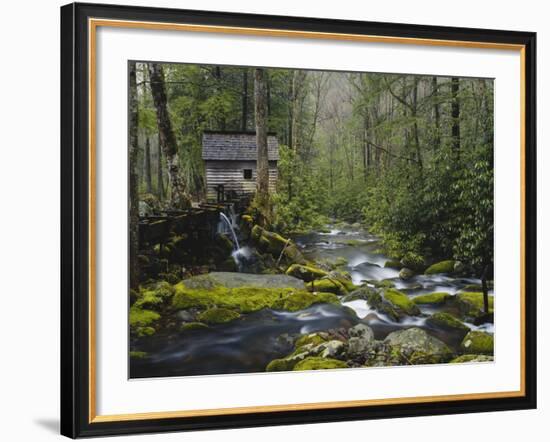 Watermill By Stream in Forest, Roaring Fork, Great Smoky Mountains National Park, Tennessee, USA-Adam Jones-Framed Photographic Print