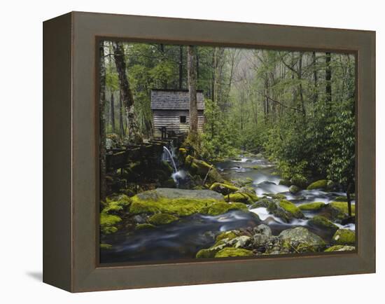 Watermill in Forest by Stream, Roaring Fork, Great Smoky Mountains National Park, Tennessee, USA-Adam Jones-Framed Premier Image Canvas