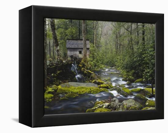 Watermill in Forest by Stream, Roaring Fork, Great Smoky Mountains National Park, Tennessee, USA-Adam Jones-Framed Premier Image Canvas