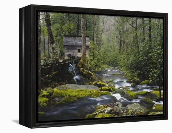 Watermill in Forest by Stream, Roaring Fork, Great Smoky Mountains National Park, Tennessee, USA-Adam Jones-Framed Premier Image Canvas