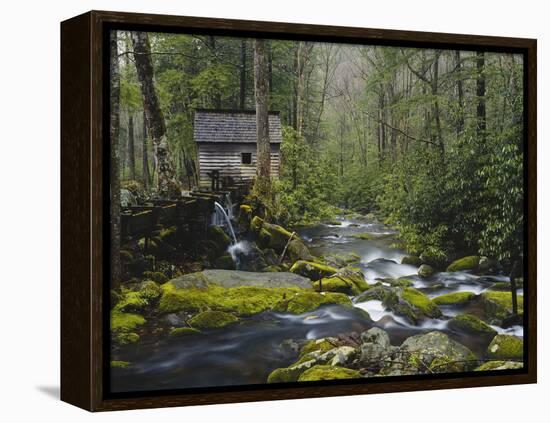 Watermill in Forest by Stream, Roaring Fork, Great Smoky Mountains National Park, Tennessee, USA-Adam Jones-Framed Premier Image Canvas