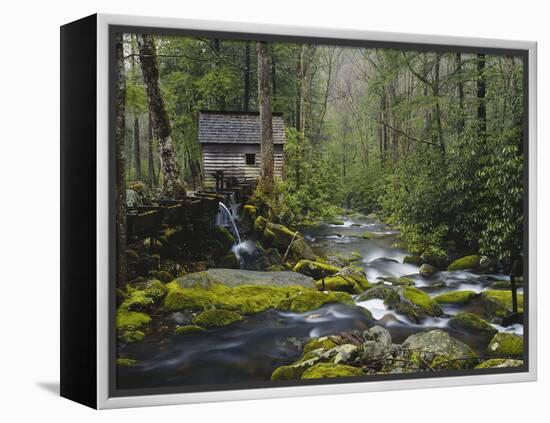 Watermill in Forest by Stream, Roaring Fork, Great Smoky Mountains National Park, Tennessee, USA-Adam Jones-Framed Premier Image Canvas