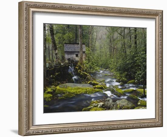 Watermill in Forest by Stream, Roaring Fork, Great Smoky Mountains National Park, Tennessee, USA-Adam Jones-Framed Photographic Print