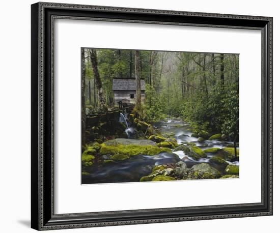 Watermill in Forest by Stream, Roaring Fork, Great Smoky Mountains National Park, Tennessee, USA-Adam Jones-Framed Photographic Print