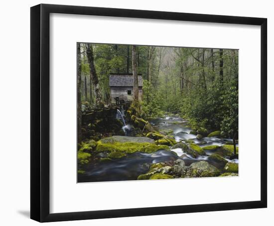 Watermill in Forest by Stream, Roaring Fork, Great Smoky Mountains National Park, Tennessee, USA-Adam Jones-Framed Photographic Print