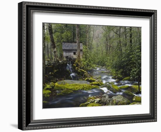 Watermill in Forest by Stream, Roaring Fork, Great Smoky Mountains National Park, Tennessee, USA-Adam Jones-Framed Photographic Print