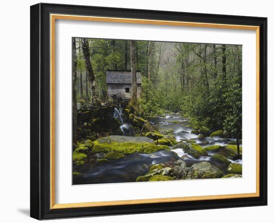 Watermill in Forest by Stream, Roaring Fork, Great Smoky Mountains National Park, Tennessee, USA-Adam Jones-Framed Photographic Print