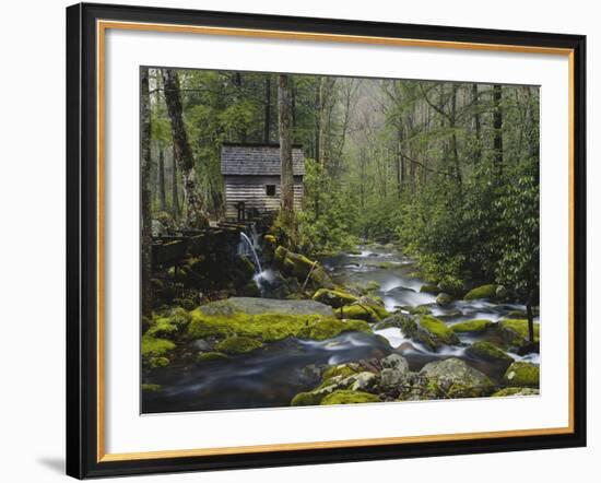Watermill in Forest by Stream, Roaring Fork, Great Smoky Mountains National Park, Tennessee, USA-Adam Jones-Framed Photographic Print