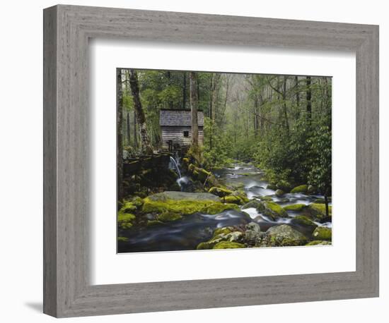 Watermill in Forest by Stream, Roaring Fork, Great Smoky Mountains National Park, Tennessee, USA-Adam Jones-Framed Photographic Print