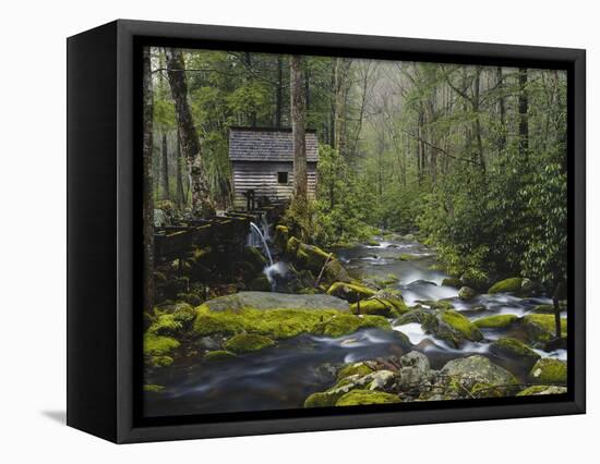 Watermill in Forest by Stream, Roaring Fork, Great Smoky Mountains National Park, Tennessee, USA-Adam Jones-Framed Premier Image Canvas