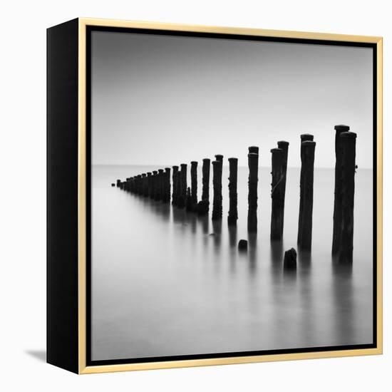 Watermiller-Craig Roberts-Framed Premier Image Canvas