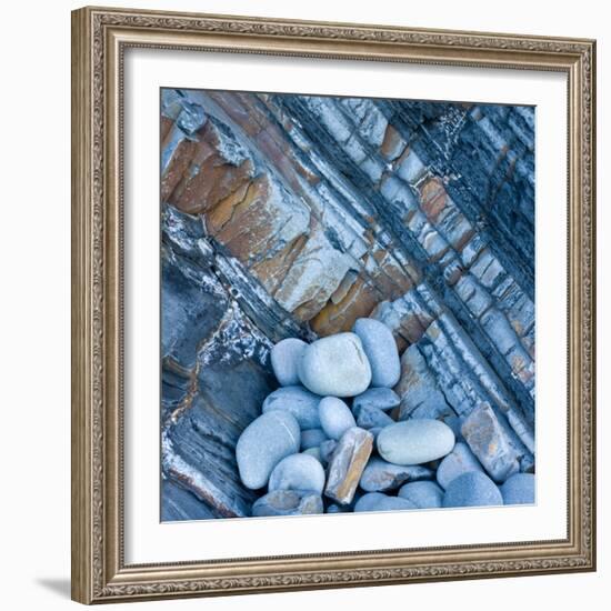 Watermonitor-Craig Roberts-Framed Photographic Print