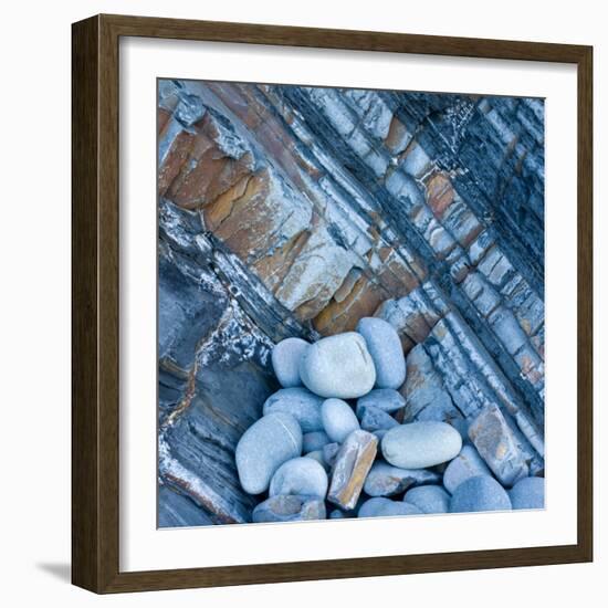 Watermonitor-Craig Roberts-Framed Photographic Print