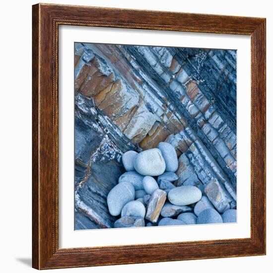 Watermonitor-Craig Roberts-Framed Photographic Print