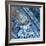 Watermonitor-Craig Roberts-Framed Photographic Print