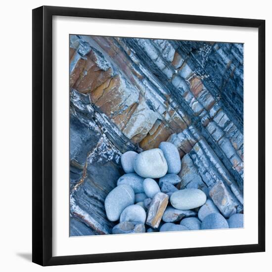 Watermonitor-Craig Roberts-Framed Photographic Print