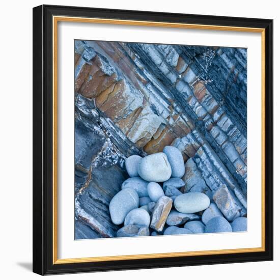 Watermonitor-Craig Roberts-Framed Photographic Print