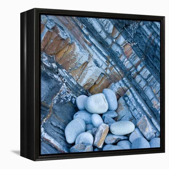 Watermonitor-Craig Roberts-Framed Premier Image Canvas
