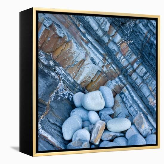 Watermonitor-Craig Roberts-Framed Premier Image Canvas