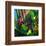 WaterPalm 03-Rick Novak-Framed Art Print