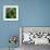 WaterPalm 03-Rick Novak-Framed Art Print displayed on a wall