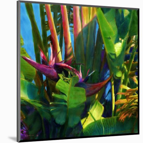 WaterPalm 03-Rick Novak-Mounted Art Print