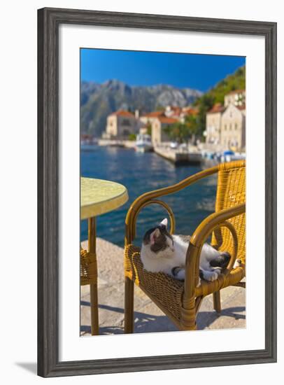 Waterside Cafe and Cat, Perast, Bay of Kotor, UNESCO World Heritage Site, Montenegro, Europe-Alan Copson-Framed Photographic Print