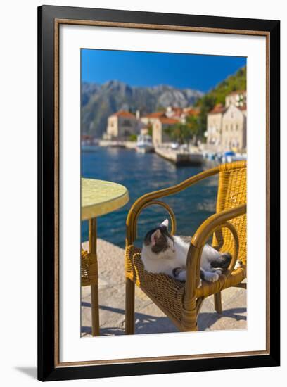 Waterside Cafe and Cat, Perast, Bay of Kotor, UNESCO World Heritage Site, Montenegro, Europe-Alan Copson-Framed Photographic Print