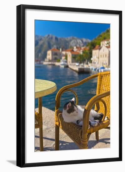 Waterside Cafe and Cat, Perast, Bay of Kotor, UNESCO World Heritage Site, Montenegro, Europe-Alan Copson-Framed Photographic Print