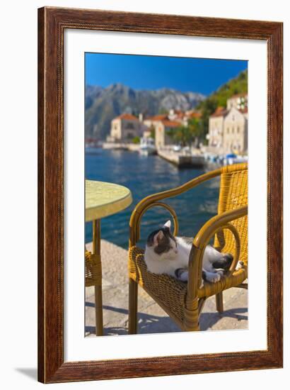 Waterside Cafe and Cat, Perast, Bay of Kotor, UNESCO World Heritage Site, Montenegro, Europe-Alan Copson-Framed Photographic Print