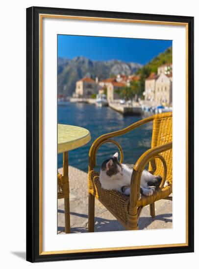 Waterside Cafe and Cat, Perast, Bay of Kotor, UNESCO World Heritage Site, Montenegro, Europe-Alan Copson-Framed Photographic Print