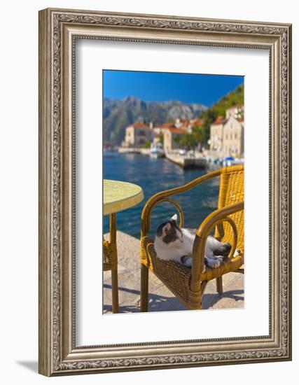 Waterside Cafe and Cat, Perast, Bay of Kotor, UNESCO World Heritage Site, Montenegro, Europe-Alan Copson-Framed Photographic Print