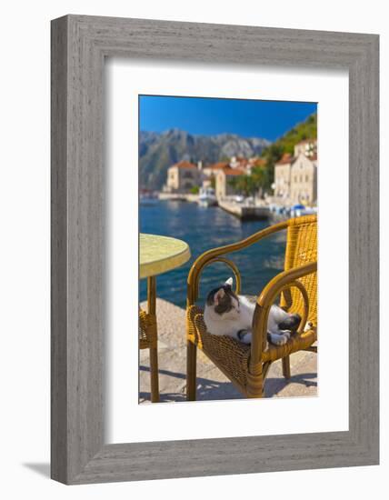 Waterside Cafe and Cat, Perast, Bay of Kotor, UNESCO World Heritage Site, Montenegro, Europe-Alan Copson-Framed Photographic Print