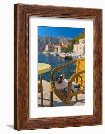 Waterside Cafe and Cat, Perast, Bay of Kotor, UNESCO World Heritage Site, Montenegro, Europe-Alan Copson-Framed Photographic Print