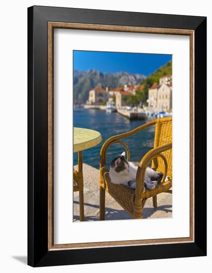 Waterside Cafe and Cat, Perast, Bay of Kotor, UNESCO World Heritage Site, Montenegro, Europe-Alan Copson-Framed Photographic Print