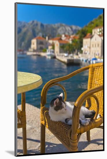 Waterside Cafe and Cat, Perast, Bay of Kotor, UNESCO World Heritage Site, Montenegro, Europe-Alan Copson-Mounted Photographic Print