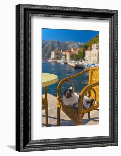 Waterside Cafe and Cat, Perast, Bay of Kotor, UNESCO World Heritage Site, Montenegro, Europe-Alan Copson-Framed Photographic Print