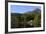 Waterside Cottage, Inveruglas, Loch Lomond, Stirling, Scotland, United Kingdom, Europe-Peter Richardson-Framed Photographic Print